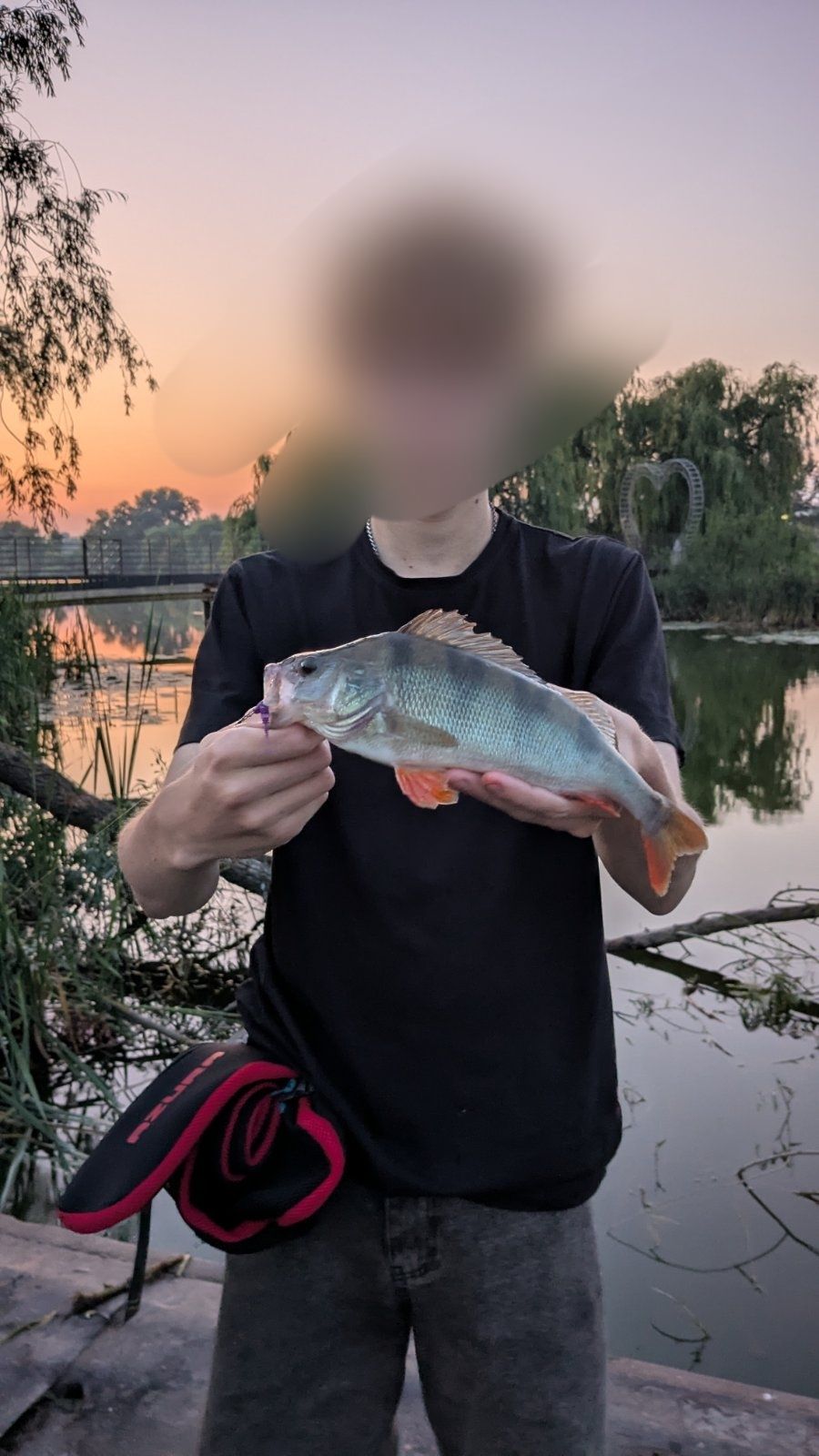 Окунь