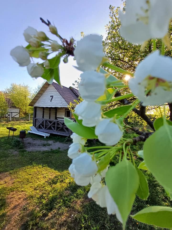 Оренда будинку на 2 кімнати (4 особи) + заїзд 1 авто