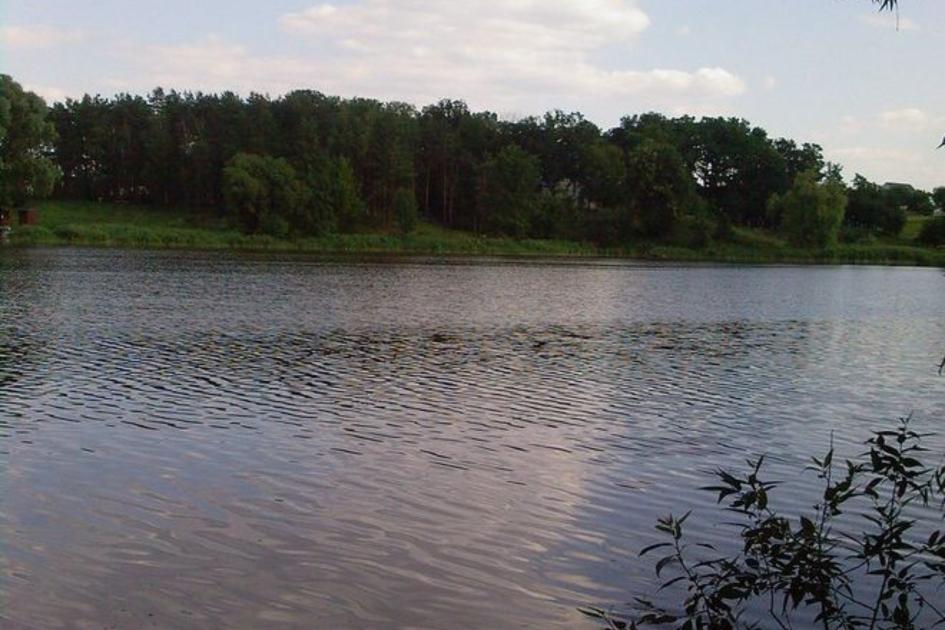 Мироцьке, став №2